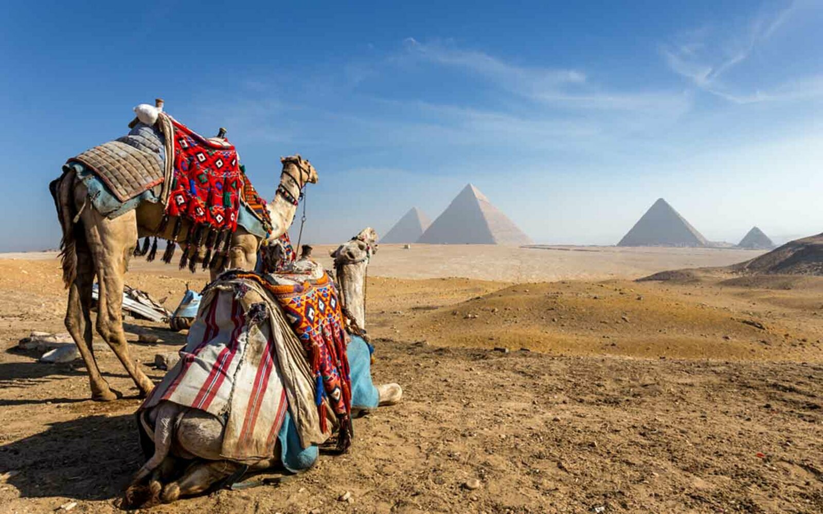 Egypt Tour: Pyramids & Nile by Train